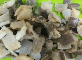 peneliti-ipb-temukan-bahan-kapsul-keras-dari-gelatin-kulit-ikan-tuna-news