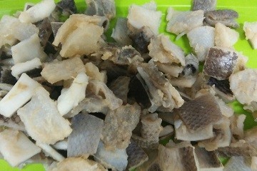 peneliti-ipb-temukan-bahan-kapsul-keras-dari-gelatin-kulit-ikan-tuna-news