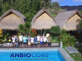 peneliti-ipb-terumbu-karang-lombok-memprihatinkan-news