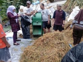 peneliti-ipb-tingkatkan-produktivitas-sapi-perah-dengan-silase-ransum-komplit-news