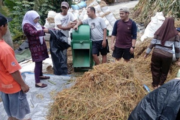 peneliti-ipb-tingkatkan-produktivitas-sapi-perah-dengan-silase-ransum-komplit-news