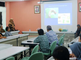 peneliti-ipb-waspadai-hama-baru-ulat-grayak-pada-jagung-news