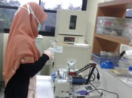 penelitian-mahasiswa-ipb-simpulkan-meniran-bisa-serap-unsur-logam-pada-lahan-tambang-news