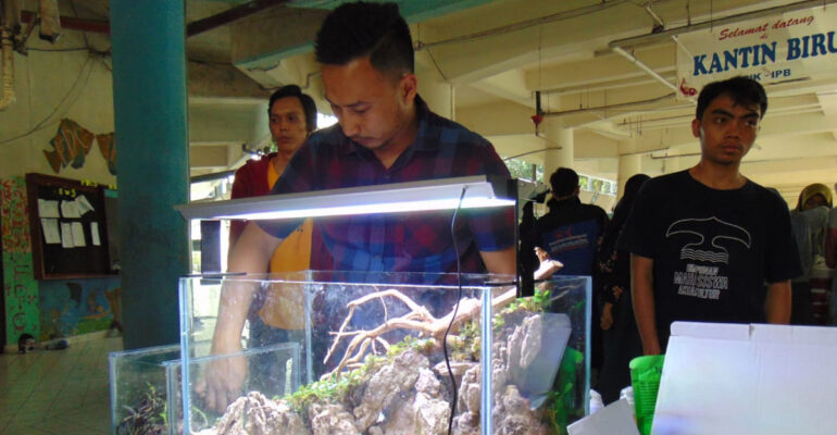 perkenalkan-ikan-hias-eksotik-dan-aquascape-himakua-fpik-ipb-gelar-wefa-2019-news