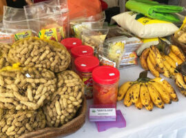 perkuat-kaum-perempuan-mahasiswa-ipb-university-teliti-fenomena-superhero-women-agripreneur-news