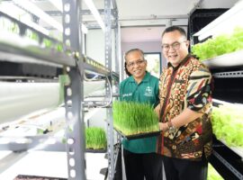 perkuat-riset-indoor-farming-ipb-luncurkan-mini-plant-factory-berbasis-iot-news