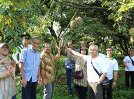 pkht-ipb-university-gelar-panen-buah-bersama-news