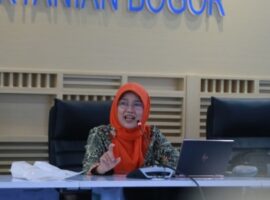 prof-evy-damayanti-ungkap-keunggulan-talas-kimpul-news