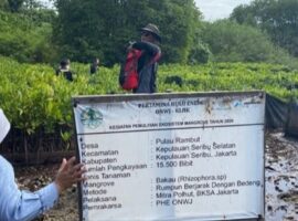 prof-hefni-effendi-ketuai-verifikasi-keberhasilan-penanaman-52-428-mangrove-oleh-phe-onwj-di-kepulauan-seribu-news