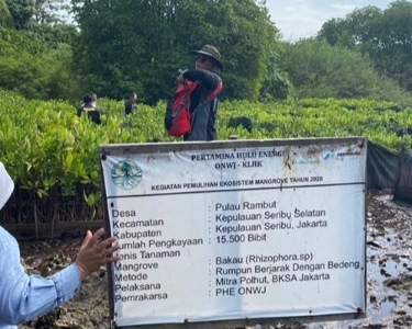 prof-hefni-effendi-ketuai-verifikasi-keberhasilan-penanaman-52-428-mangrove-oleh-phe-onwj-di-kepulauan-seribu-news