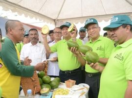 pusat-bibit-buah-nusantara-sebagai-pilar-revolusi-oranye-news1