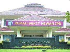 rumah-sakit-hewan-pendidikan-fkh-ipb-terbaik-terluas-dan-terlengkap-di-indonesia-news