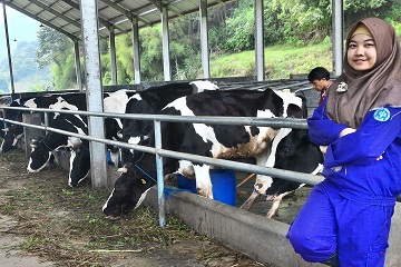 sarah-usai-wisuda-langsung-kerja-news