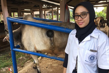 sari-calon-doktor-muda-dari-ipb-dengan-terobosan-baru-dalam-pakan-ternak-news