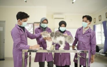 sebelum-lulus-sudah-dapat-pekerjaan-simak-keunggulan-prodi-paramedik-veteriner-sv-ipb-university-dalam-menghasilkan-lulusan-berkompetensi-unggul-news