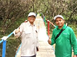 sempat-ditutup-ekowisata-mangrove-di-muaragembong-bekasi-kini-kembali-dibuka-news