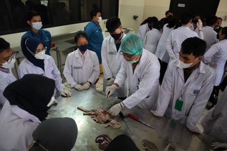 skhb-ipb-university-lakukan-penyegaran-praktik-pemeriksaan-antemortem-dan-postmortem-untuk-petugas-pemeriksa-kesehatan-hewan-dan-daging-kurban-news