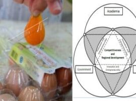 strategi-triple-helix-dukung-komersialisasi-telur-omega-3-news