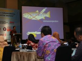 teknik-bayi-tabung-bisa-selamatkan-ikan-punah-news