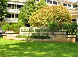 temu-alumni-menjadi-solusi-untuk-fresh-graduate-departemen-itsl-ipb-news