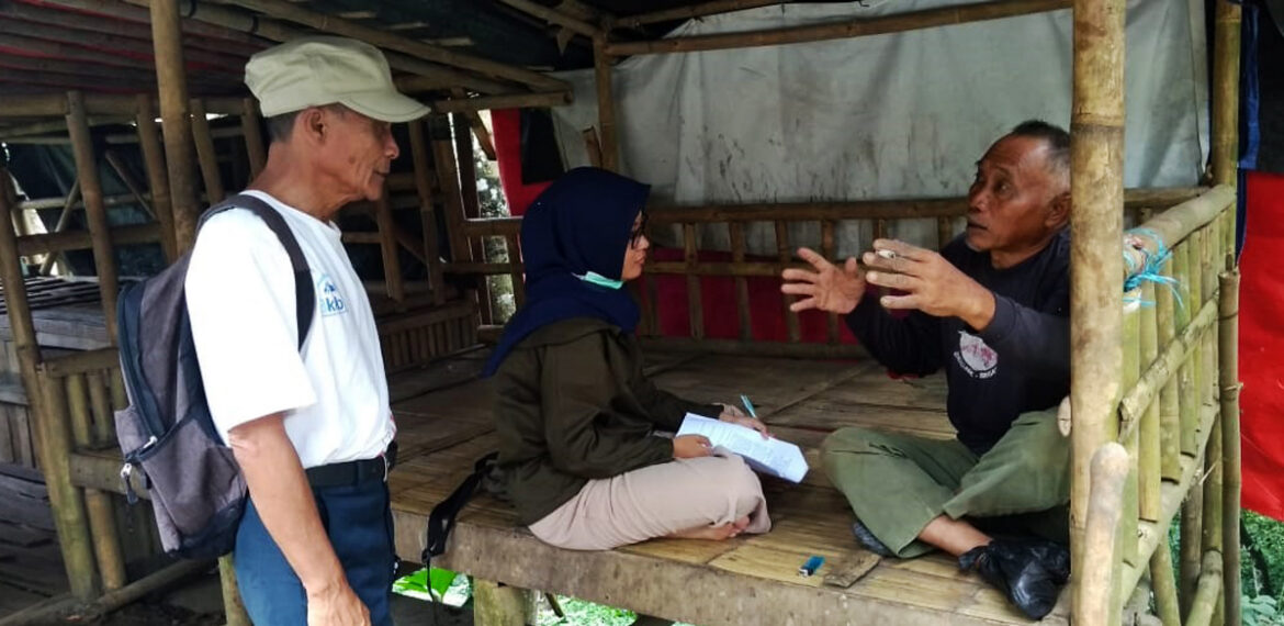 terancam-punah-mahasiswa-ipb-university-teliti-durian-mas-news