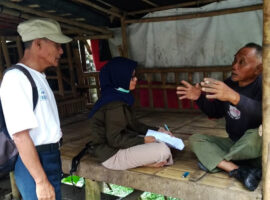 terancam-punah-mahasiswa-ipb-university-teliti-durian-mas-news