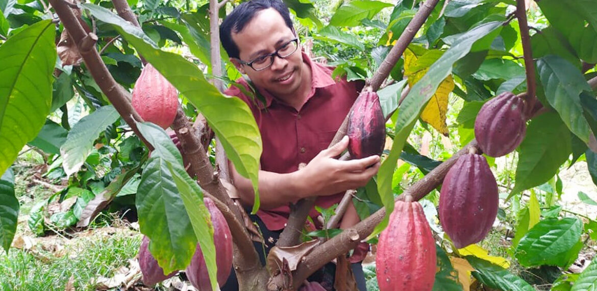 tim-psp3-ipb-university-teliti-turunnya-produksi-kakao-di-kolaka-utara-news