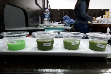 yuk-cicipi-puding-torbangun-buatan-mahasiswa-ipb-news