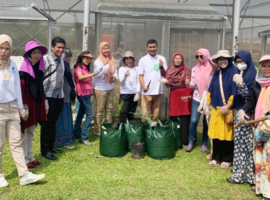 Dosen Sekolah Vokasi IPB University Ajarkan Penerapan Urban Farming, Alternatif Solusi Ketahanan Pangan Rumah Tangga