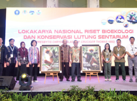 Kolaborasi MBKM, Mahasiswa Terlibat Riset Bioekologi dan Konservasi Lutung Sentarum