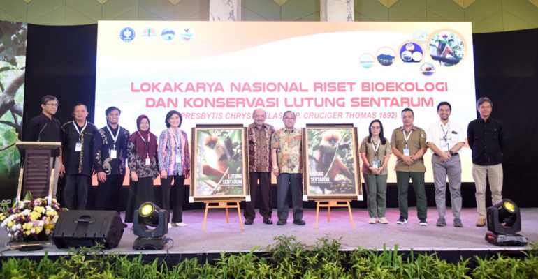 Kolaborasi MBKM, Mahasiswa Terlibat Riset Bioekologi dan Konservasi Lutung Sentarum