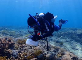 PKSPL IPB University Jalin Kerjasama dengan PT. AMNT Kembangkan Wisata Bahari berbasis Ekosistem di Kawasan Konservasi Gili Balu