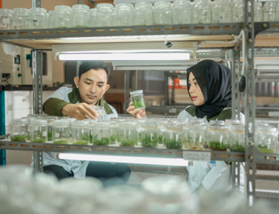 ipb-university-buka-program-sarjana-terapan-d4-teknologi-benih-news