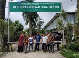 kebun-percobaan-ipb-university-di-sukamantri-jadi-pusat-nursery-tanaman-hias-news