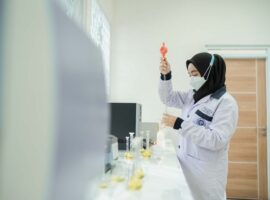mengenal-lebih-dekat-prodi-ikn-salah-satu-program-sarjana-terapan-sekolah-vokasi-ipb-university-news1