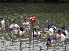 peringati-world-oceans-day-mahasiswa-ipb-university-berkontribusi-tanam-bibit-dan-bersihkan-sampah-mangrove-di-twa-angke-kapuk-news