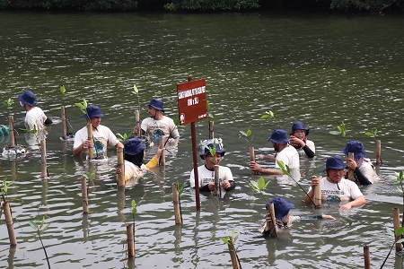peringati-world-oceans-day-mahasiswa-ipb-university-berkontribusi-tanam-bibit-dan-bersihkan-sampah-mangrove-di-twa-angke-kapuk-news