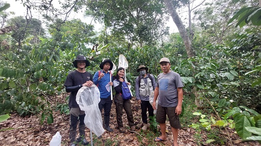 tim-entomologi-ipb-university-lakukan-riset-hama-dan-penyakit-komoditas-kopi-dalam-rangka-teeb-agrifood-indonesia-news