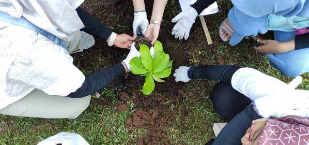 v-garden-sekolah-vokasi-ipb-university-jadi-lokasi-gerakan-tanam-10-000-tanaman-obat-news