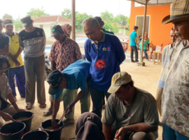 Peran IPB University dalam Mendiseminasikan Teknologi dan Keberhasilan Panen Raya Petani Ciasem