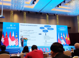 Hadiri PNLG Forum, PKSPL IPB University Promosikan Blue Carbon Capacity Development Program untuk Asia Timur
