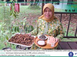 Prof Nampiah Sukarno Ungkap Manfaat Cendawan dalam Bidang Kehutanan, Pertanian dan Kesehatan
