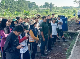 BEM KM IPB University Ajak Mahasiswa untuk Menanam Tumpang Sari Pepaya Calina dan Jagung Manis