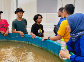 Dosen Mengabdi Inovasi Dampingi Warga Desa Purwasari Teknik Pembesaran Ikan Nila Metode Bioflok