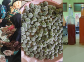 Dosen dan Mahasiswa IPB University Adakan Pelatihan Pengolahan Limbah Pala menjadi Produk Sirup dan Manisan