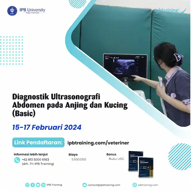 Diagnostik Ultrasonografi Abdomen pada Anjing dan Kucing (Basic)