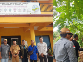 IPB University Dampingi Petani Pepaya Calina di Desa Cidolog, Ciamis