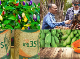 Prodi Agronomi dan Hortikultura IPB University Cocok Untuk Siapa Cek di Sini Deh