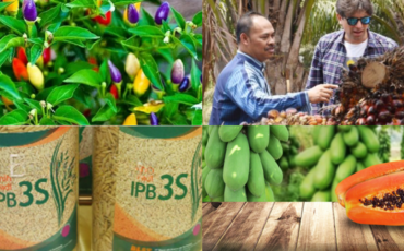 Prodi Agronomi dan Hortikultura IPB University Cocok Untuk Siapa Cek di Sini Deh
