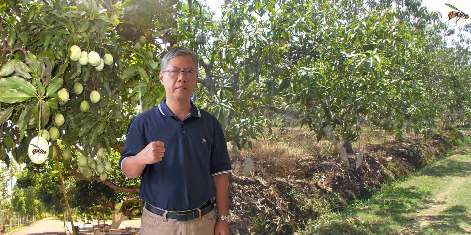 Uyda jinsiy aloqa fotosuratlari